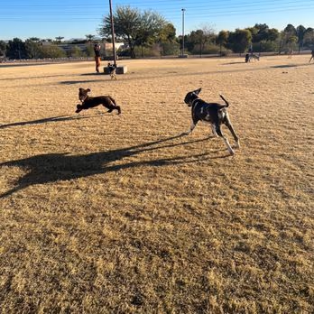 Dog Park at Paseo Vista Park photo 1